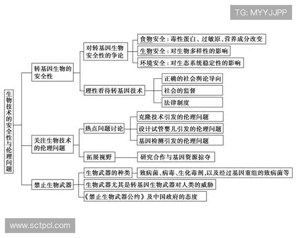 球星球风演变:从技术创新到战术革命的历史长河 球星球风演变:从技术创新到战术革命的历史长河
