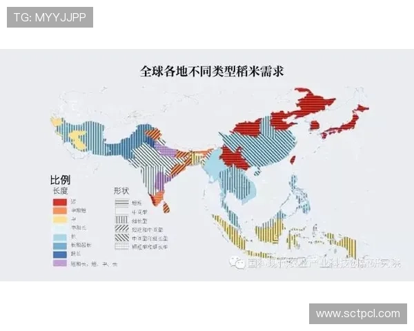 聚焦全球体育赛事成绩表现与竞技趋势年度综合盘点分析报告解读 - 副本 (3) - 副本 - 副本