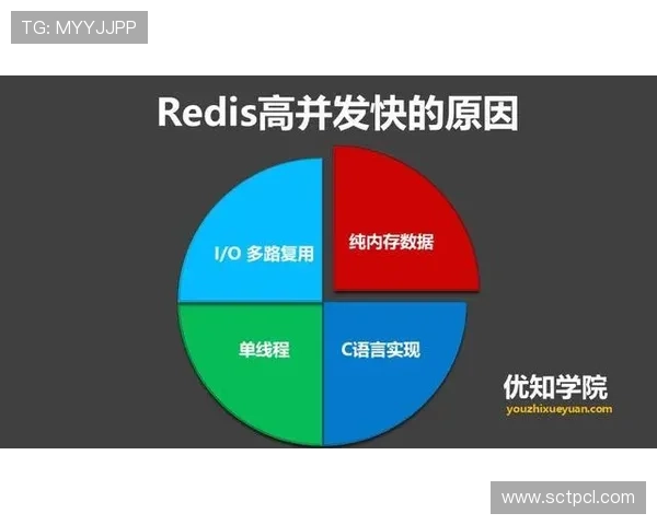 世界杯数据频道全面解析 赛场数据实时更新 精准统计助你掌握赛事动态 - 副本